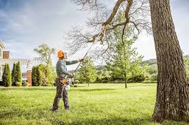  Modesto, CA Tree Removal and Landscaping Services Pros